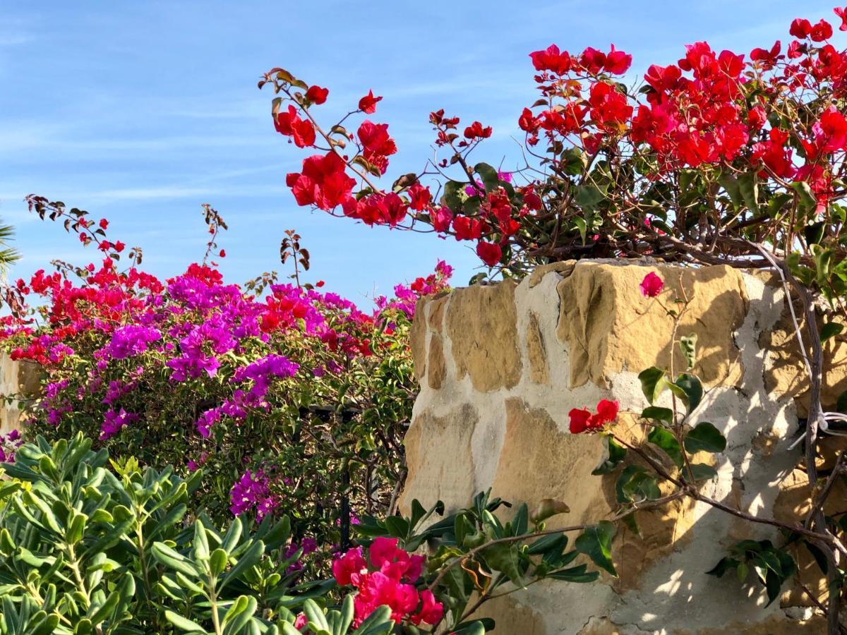 Casa Olina Apartment Bahia de Casares Екстериор снимка