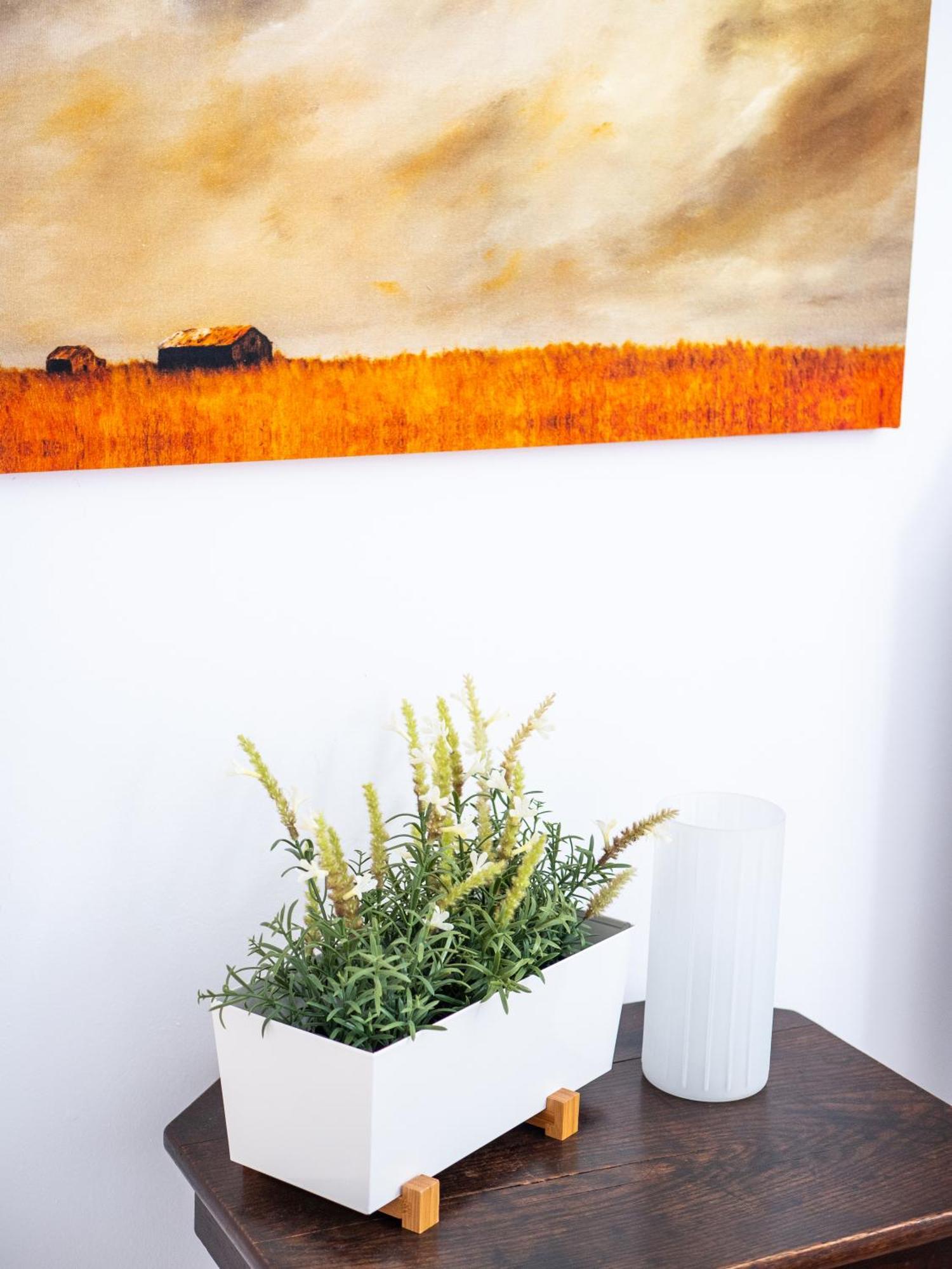 Casa Olina Apartment Bahia de Casares Стая снимка